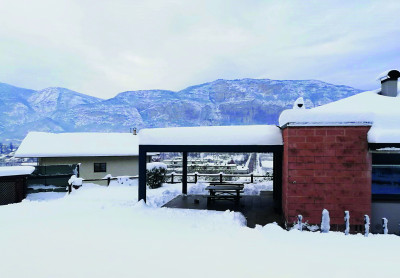 pergola portata neve